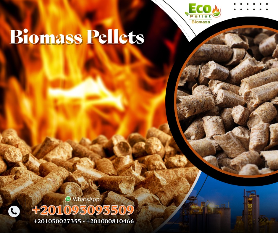 afee29f2-4cfb-4d99-83bb-440f7096ac28 afee29f2-4cfb-4d99-83bb-440f7096ac28